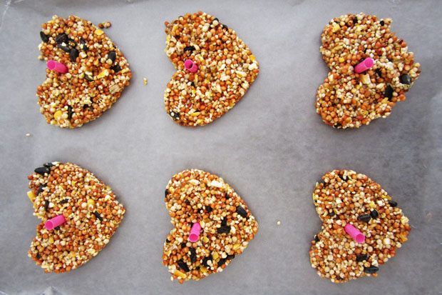 how to: heart-shaped birdseed wedding favors
