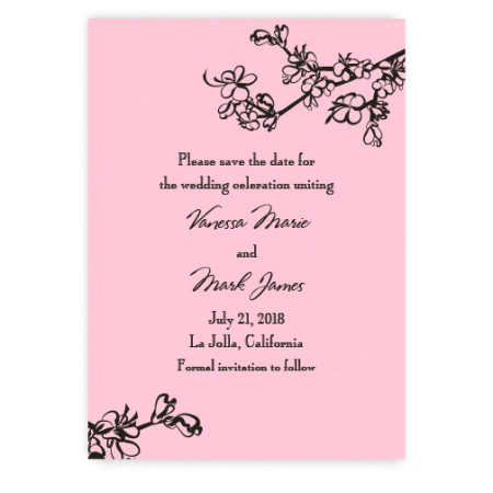 Vanessa Save the Date Cards