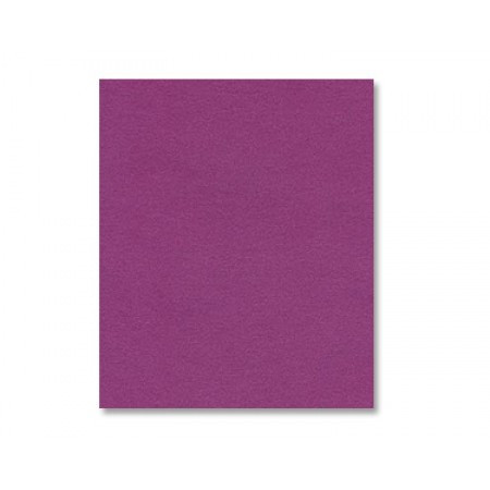 Punch Shimmer Cardstock - Various Sizes