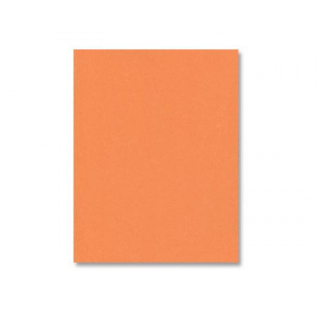Tangy Orange Cardstock - Various Sizes