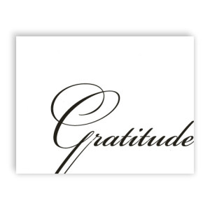 Gratitude Letterpress Thank  You Cards