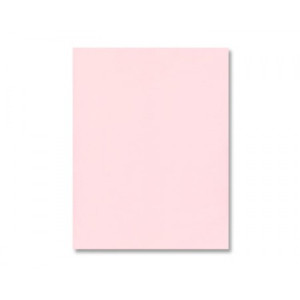 Pink Lemonade Cardstock - Various Sizes