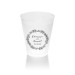 Verdant 10 Ounce Frosted Plastic Tumbler